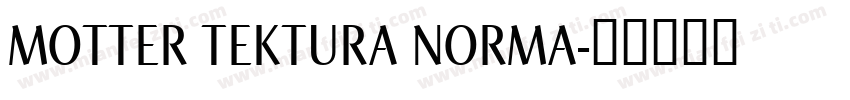 MOTTER TEKTURA NORMA字体转换